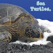 Sea turtles, what do you do? cover image
