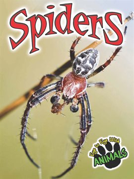 Imagen de portada para Spiders
