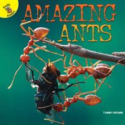 Amazing ants cover image