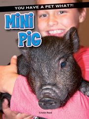 Mini pig cover image