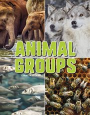 Animal groups cover image