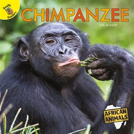 Cover image for Chimpanzee