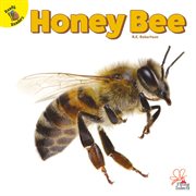 Honey bee cover image