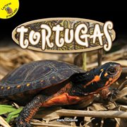 Tortugas cover image