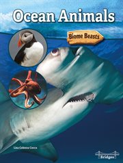 Ocean animals cover image