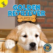 Golden retriever puppies cover image