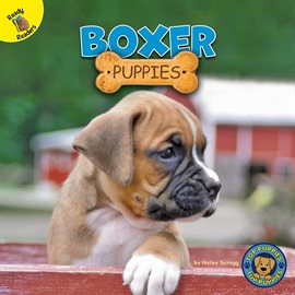 Cover image for Boxer Puppies