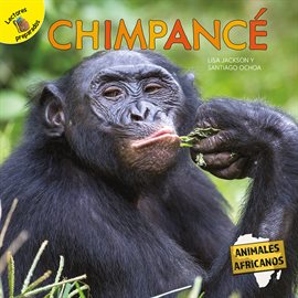 Cover image for Chimpancé