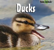 Ducks cover image
