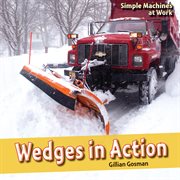 Wedges in action cover image