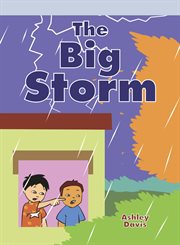 The big storm cover image