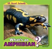 What's an Amphibian? cover image