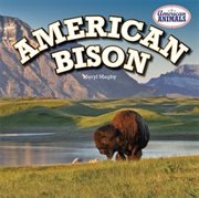 American Bison cover image