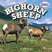 Bighorn Sheep cover image