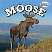 Moose cover image
