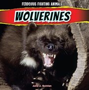 Wolverines cover image