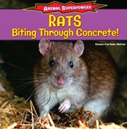 Rats : biting through concrete! cover image