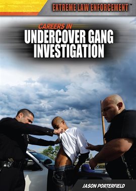 Cover image for Careers in Undercover Gang Investigation