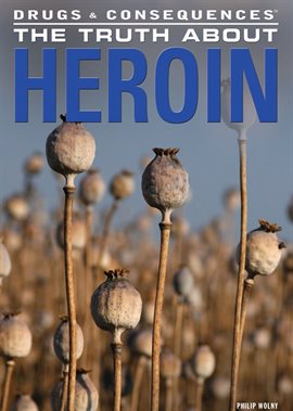 Cover image for The Truth About Heroin