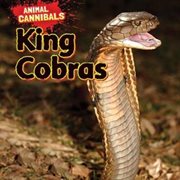 King Cobras cover image