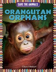 Orangutan Orphans cover image