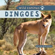 Dingoes cover image