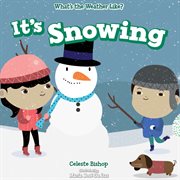 It's snowing cover image