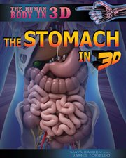 The stomach in 3D cover image