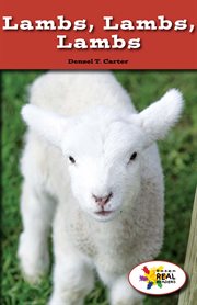 Lambs, lambs, lambs cover image