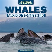 Whales work together cover image