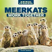 Meerkats work together cover image