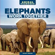 Elephants work together cover image