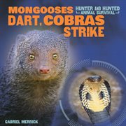 Mongooses dart, cobras strike cover image