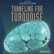 Tunneling for turquoise cover image