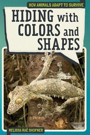 Hiding with colors and shapes cover image