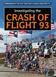 Investigating the crash of Flight 93 cover image