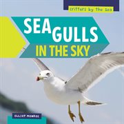 Sea gulls in the sky cover image
