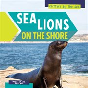 Sea lions on the shore cover image