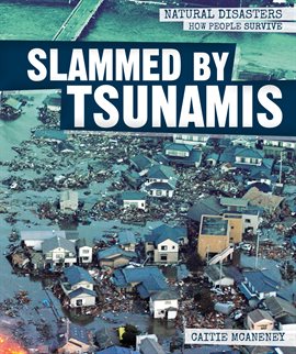 Umschlagbild für Slammed by Tsunamis