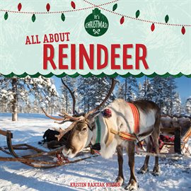 Cover image for All About Reindeer