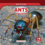 Ants up close cover image