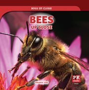 Bees up close cover image