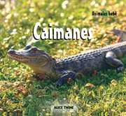 Caimanes (Alligators) cover image