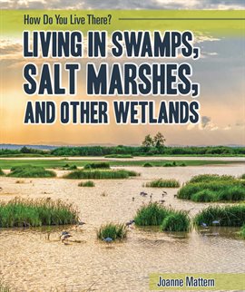 Cover image for Living in Swamps, Salt Marshes, and Other Wetlands