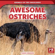 Awesome ostriches cover image