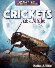 Crickets at night cover image