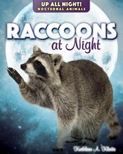 Raccoons at night cover image