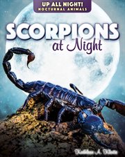 Scorpions at night cover image