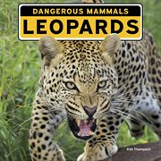Leopards cover image
