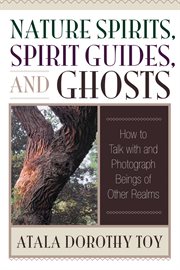 Nature spirits, spirit guides, and ghosts: how to talk with and photograph beings of other realms cover image